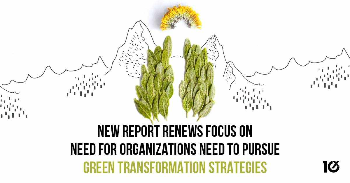green report organizations transformation strategies