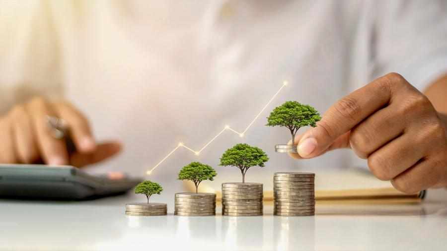 uae,green,banks,financing,projects