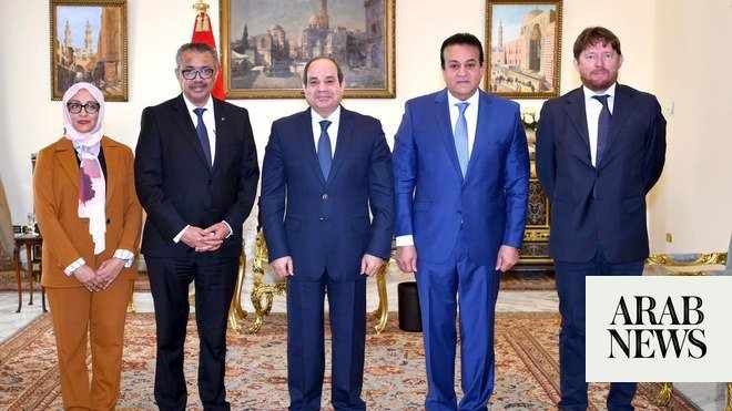 egypt,cooperation,sector,healthcare,increased