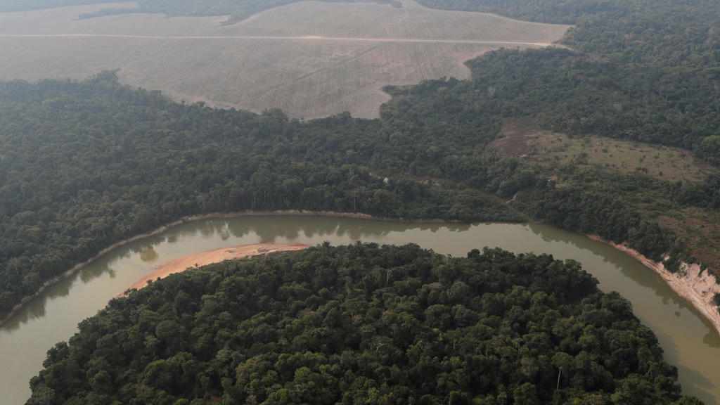 indigenous french casino amazon deforestation