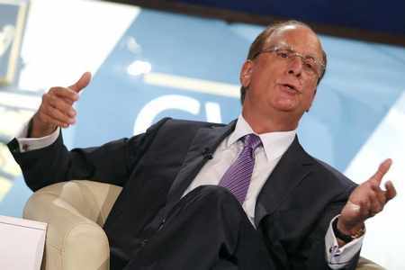investment blackrock ceo outlook green