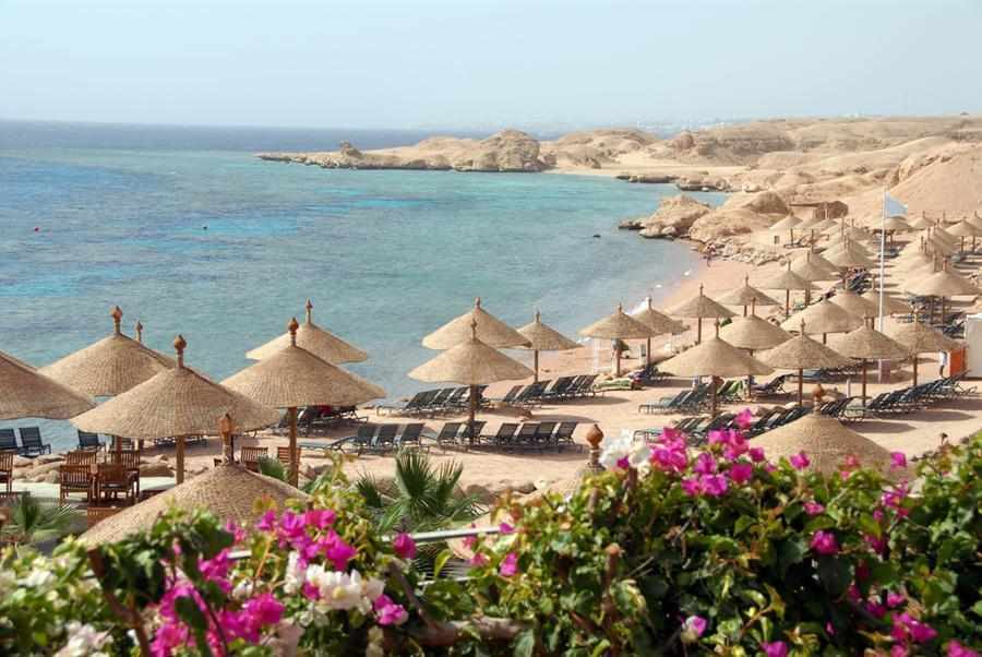 egypt,contract,healthcare,resort,gafi