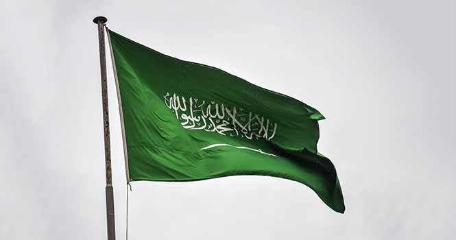 saudi,kingdom,achievements,national,government