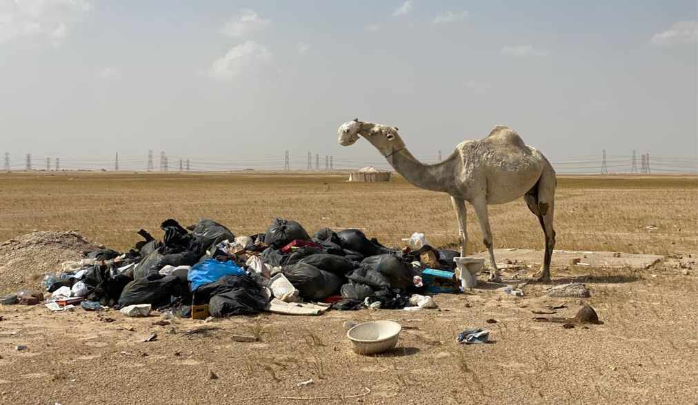 development,kuwait,sustainable,waste,plastic