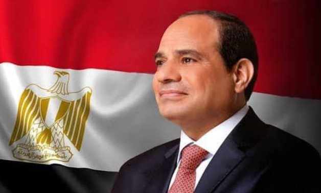 egypt,investment,president,export,law