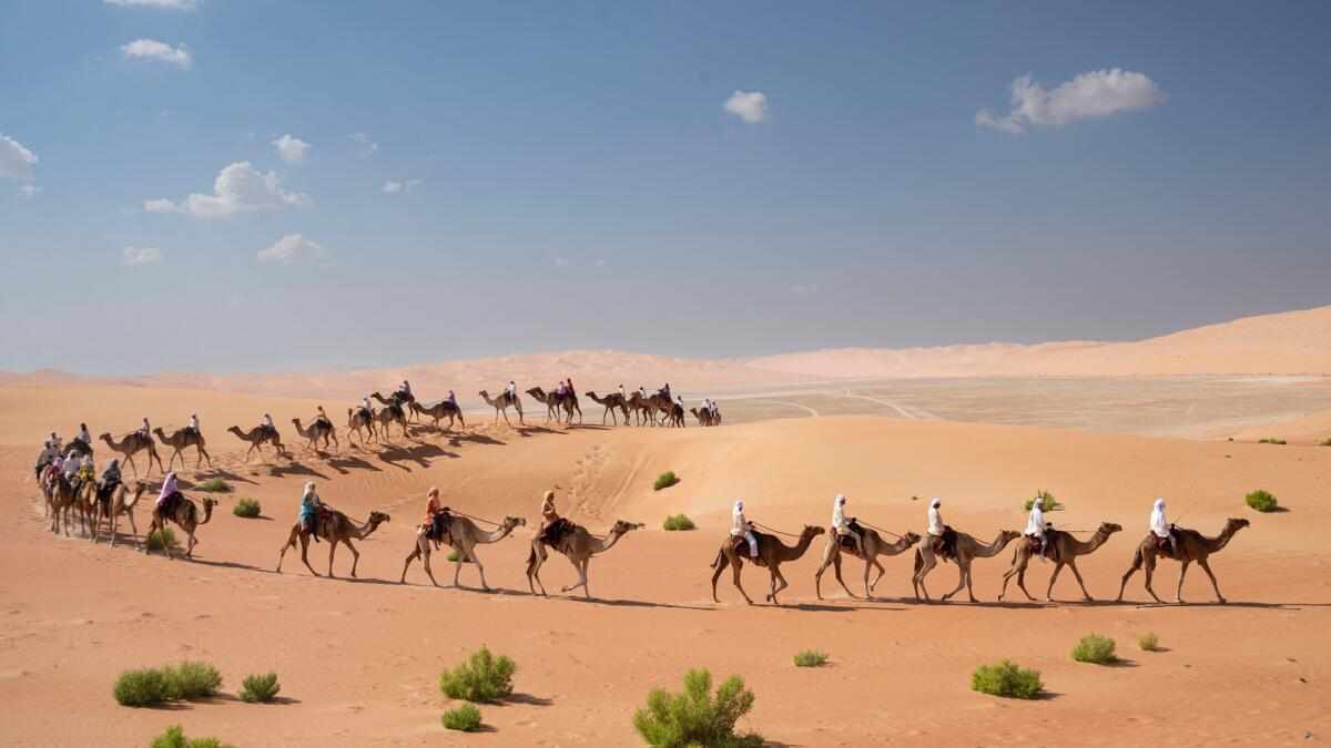 dubai,global,trek,camel,riders