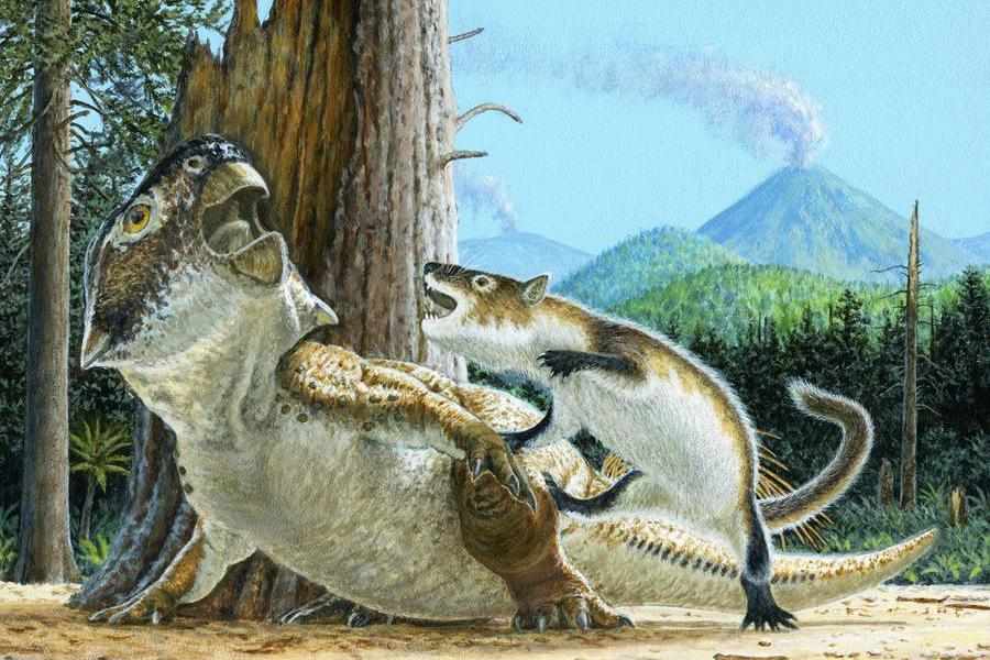 mammal,dinosaur,fossil,shows,dramatic