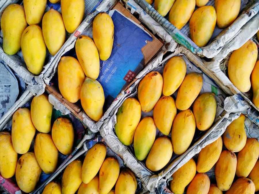 dubai,prices,mangoes,pakistani,season