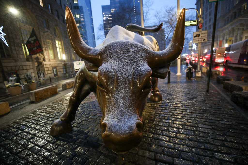 market bull goldman early stages