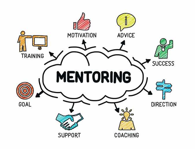 mentorship, program, employees, mentored, were, 