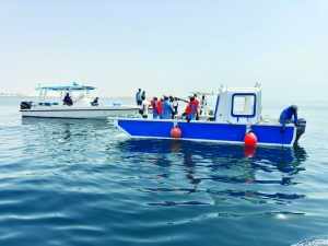moecc,drive,seabed,sealine,cleaning