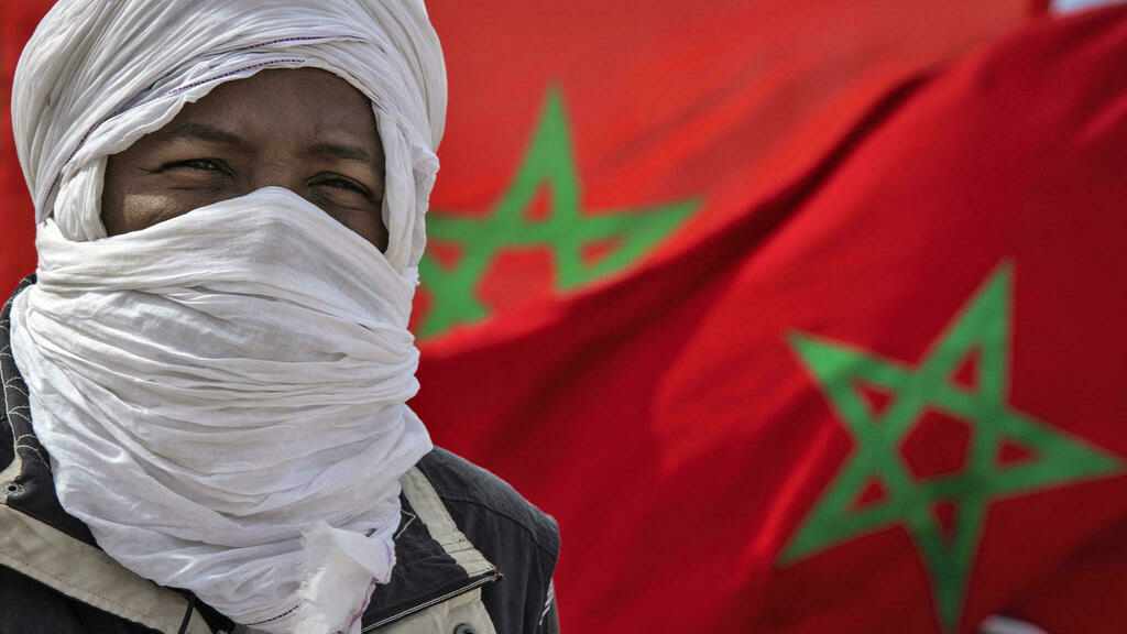 morocco expert activists western sahara