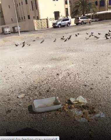 public,bahrain,municipality,animals,muharraq