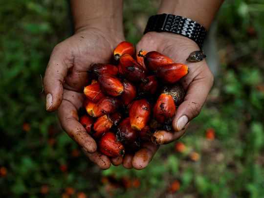 india,export,ban,palm,oil