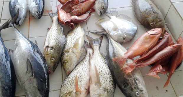 oman fish seeb market nearing