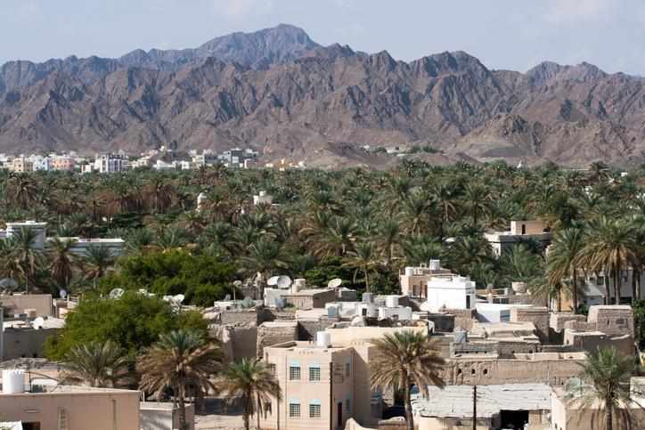 oman,companies,privatise,government,authority