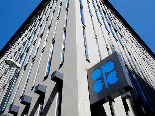 opec,policy,oil,delegates,unlikely