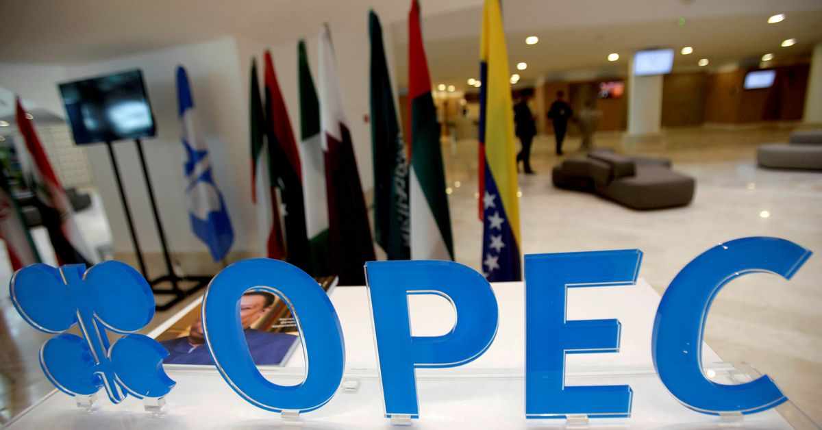 opec,policy,producers,oil