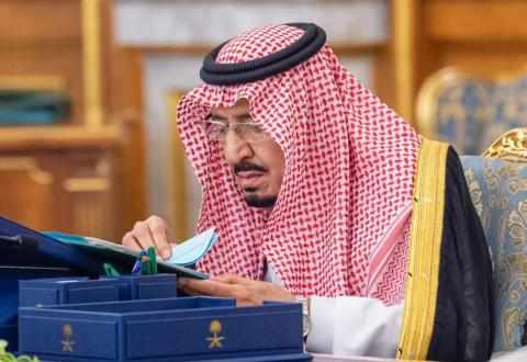 saudi,opec,govt,role,balance