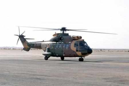 summit,security,delegation,aqaba,helicopter