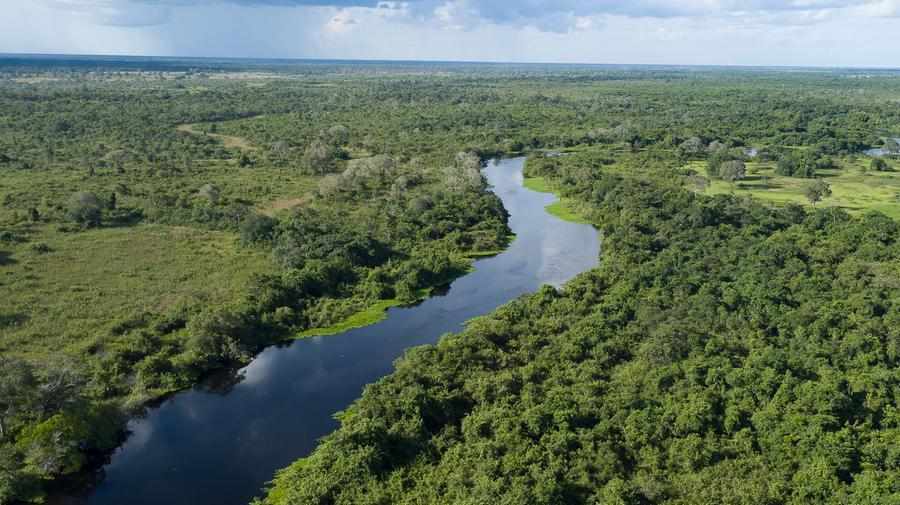 world,visit,wetland,tropical,pantanal