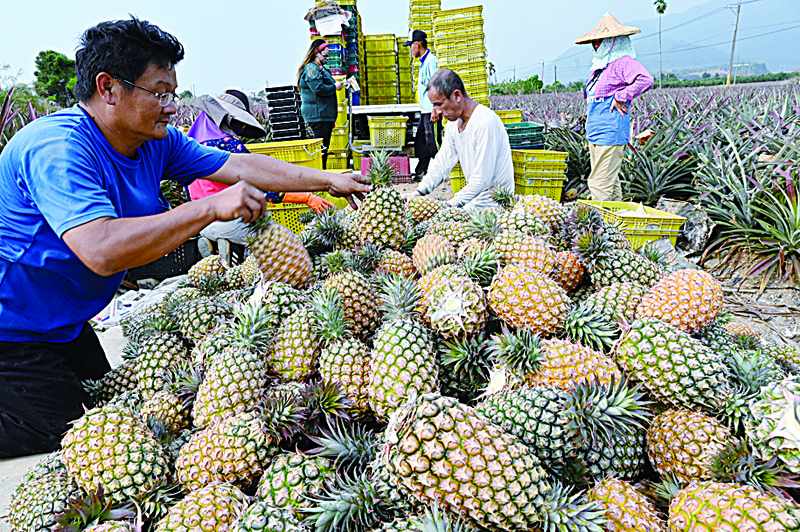 pineapple freedom taiwan chinese ban