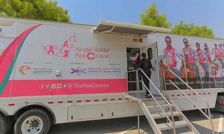 pink caravan educational screening activities