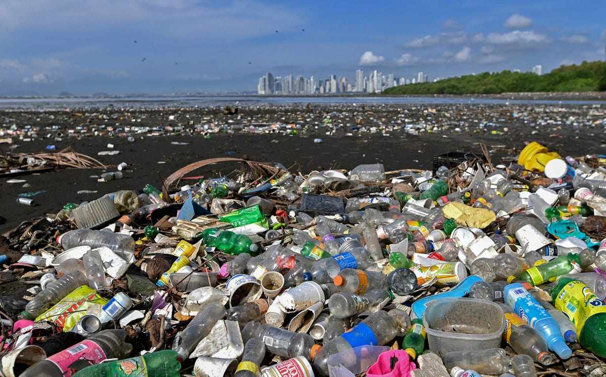 plastic, pollution, panama, photo, marine, 