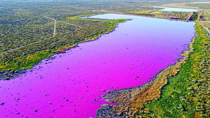pollution argentina lake bright pink