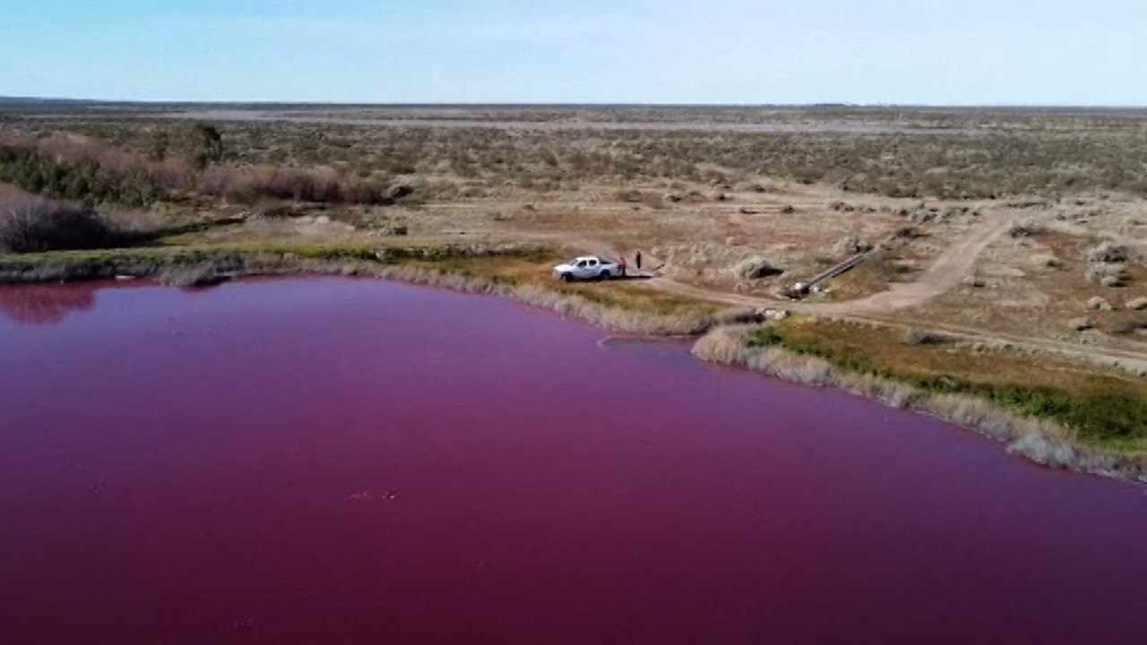 pollution, argentina, lake, pink,