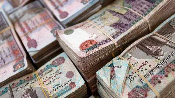 egypt,pound,volatility,foreign,inflows