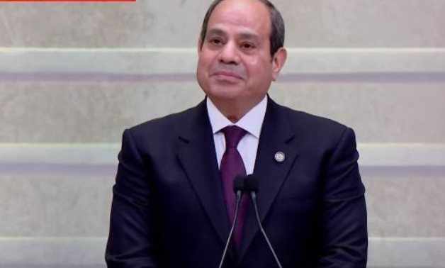 egypt,economic,growth,sector,president