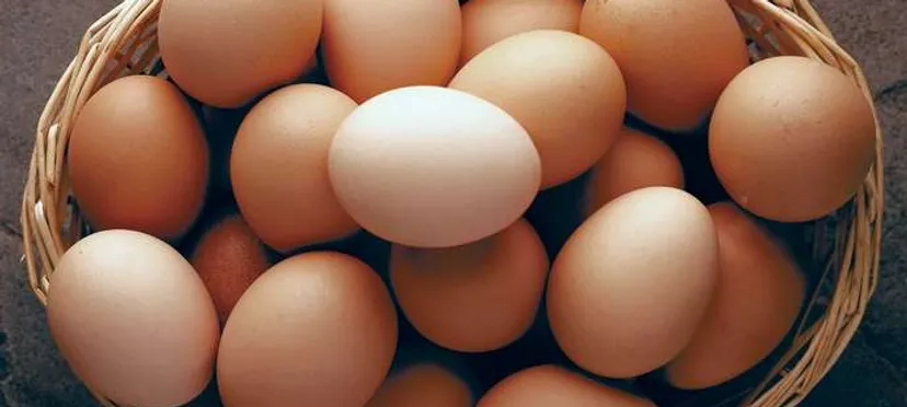uae,prices,temporary,eggs,poultry