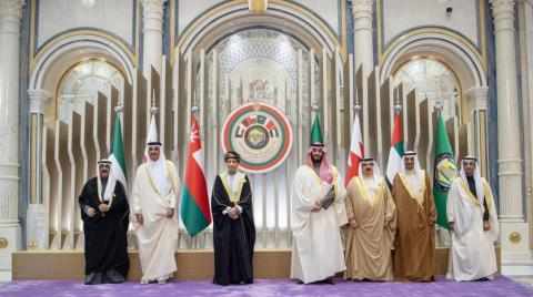 saudi,development,gulf,prince,crown