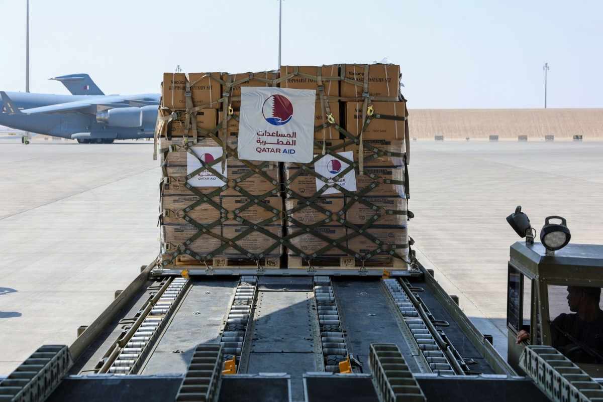 egypt,aid,food,medical,plane