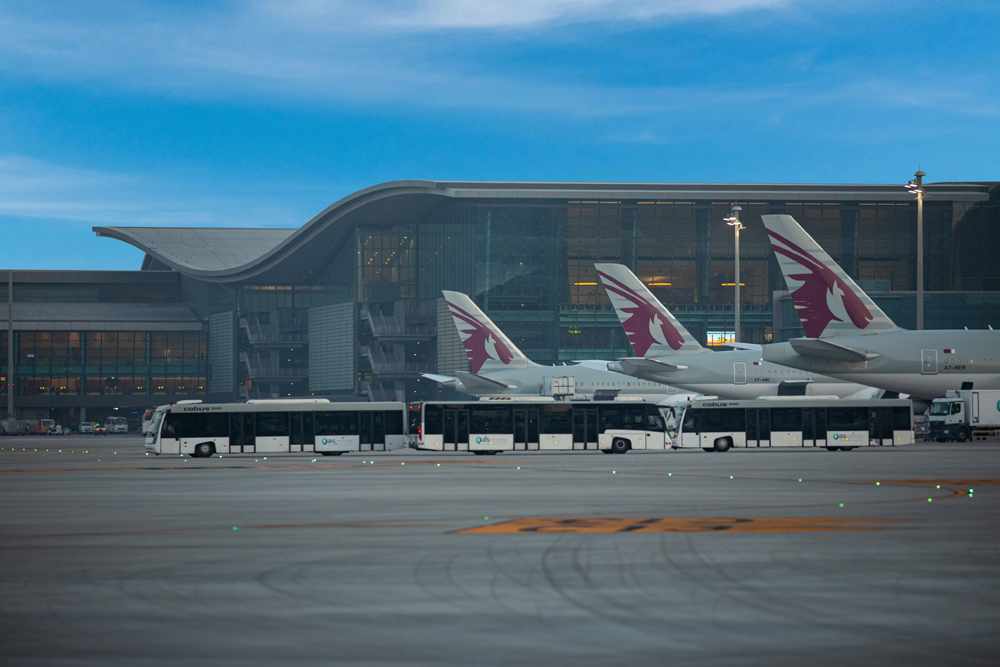 qatar, efforts, sustainable, fuel, aviation, 