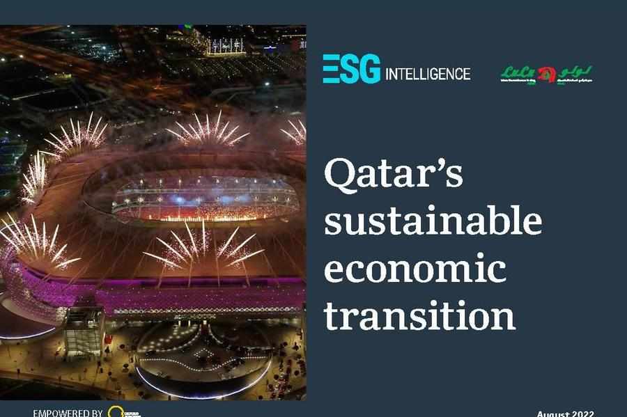 qatar,report,environment,challenges,social