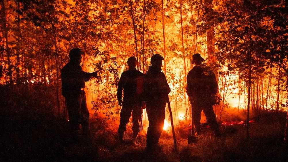wildfires,globally,governments,report,fires