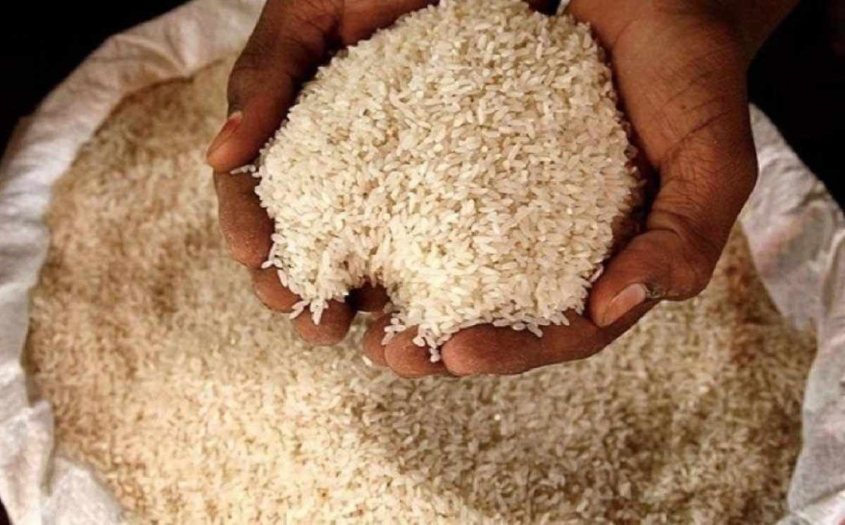 uae,rice,exports,export,ban