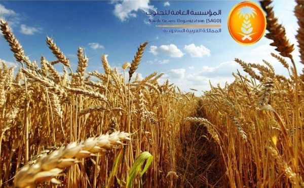 saudi-arabia wheat saudi sago port