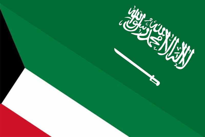 saudi,energy,arabia,cooperation,arab