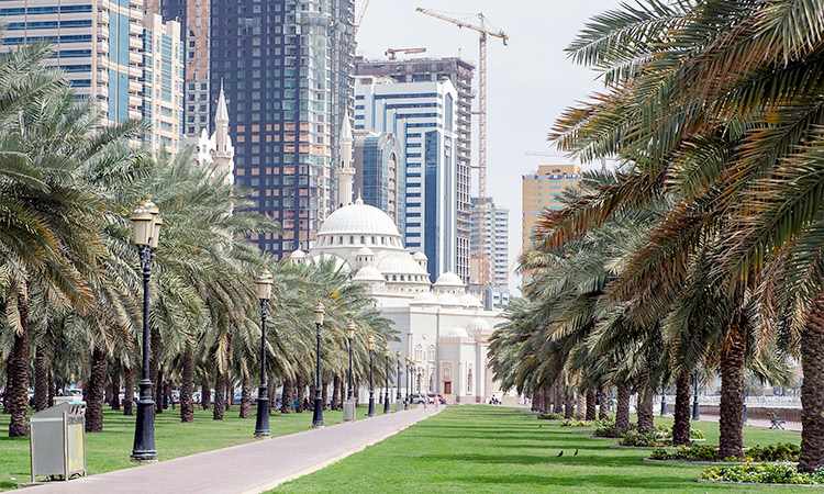 growth,sector,real,estate,sharjah