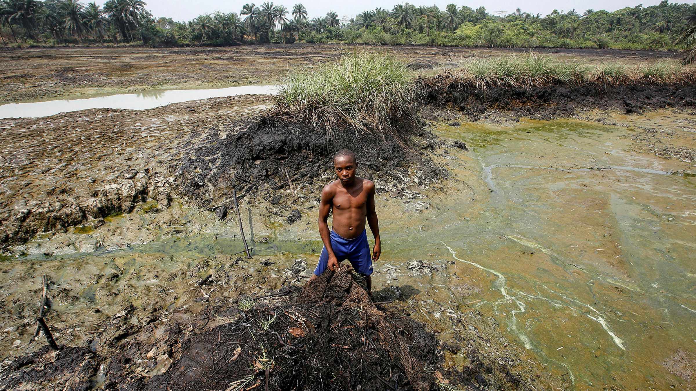 shell dutch nigeria oil spills