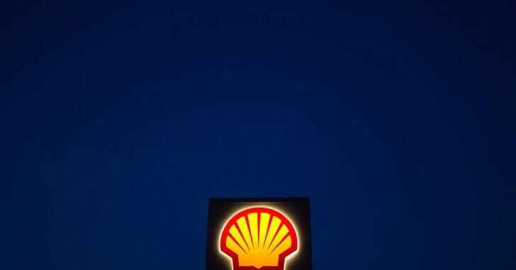 shell,exploration,namibia,reuters,hydrocarbons