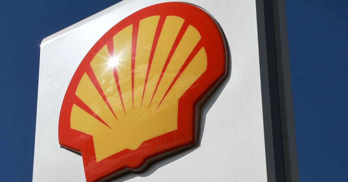 shell,stake,lng,sources,consortium