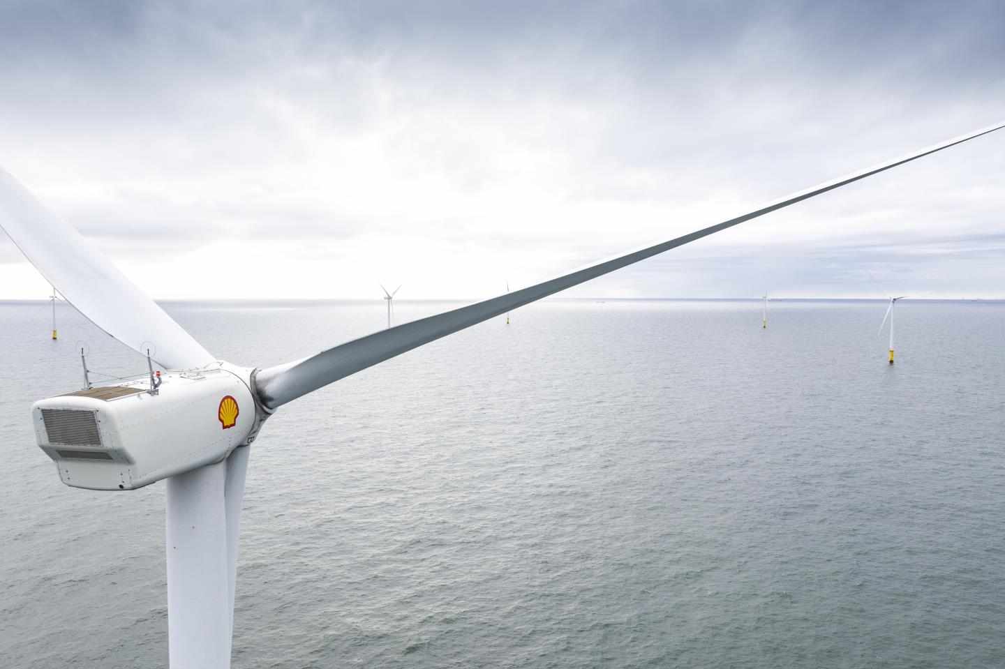 shell,scotwind,aiming,content,projects
