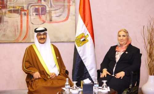 egypt,cooperation,bahrain,kingdom,social