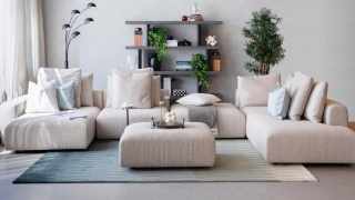 experts,store,sofa,chattels,sofas
