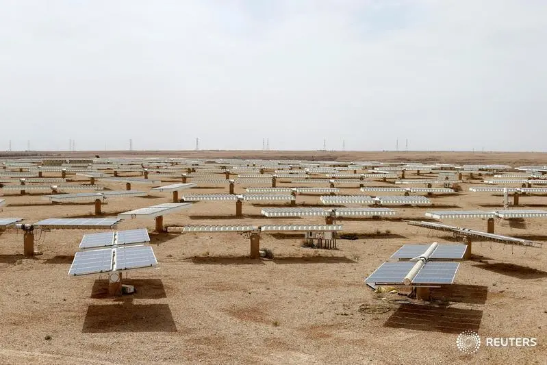 saudi,project,firm,farm,solar