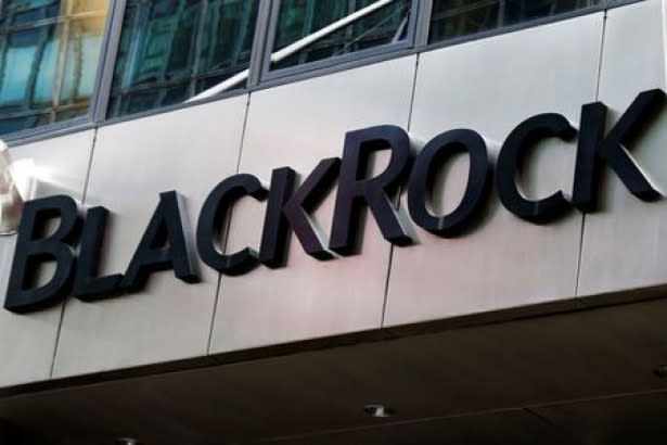 stock money blackrock always signals